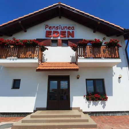 Pensiunea Eden Copăceni Zewnętrze zdjęcie