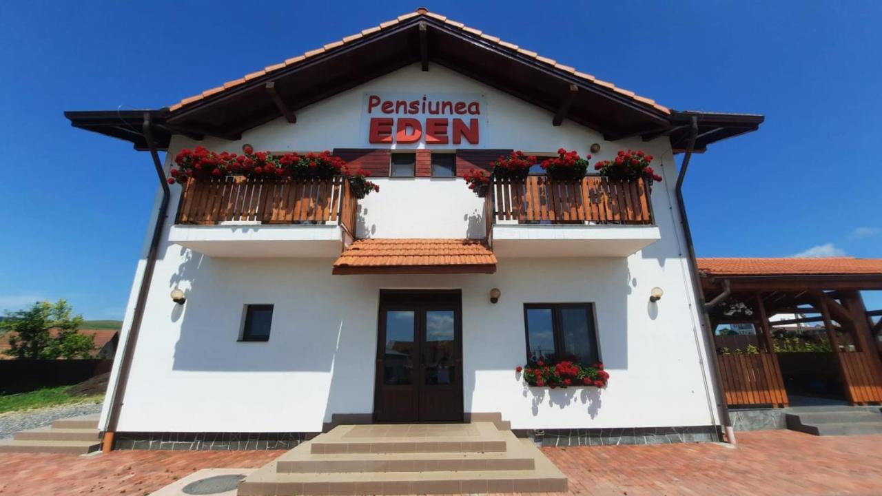 Pensiunea Eden Copăceni Zewnętrze zdjęcie