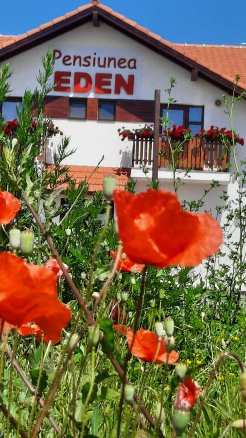 Pensiunea Eden Copăceni Zewnętrze zdjęcie